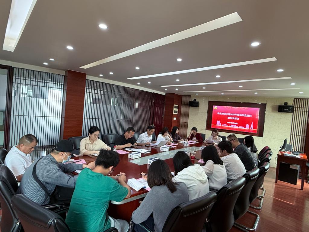 提升基层党组织的凝聚力和战斗力