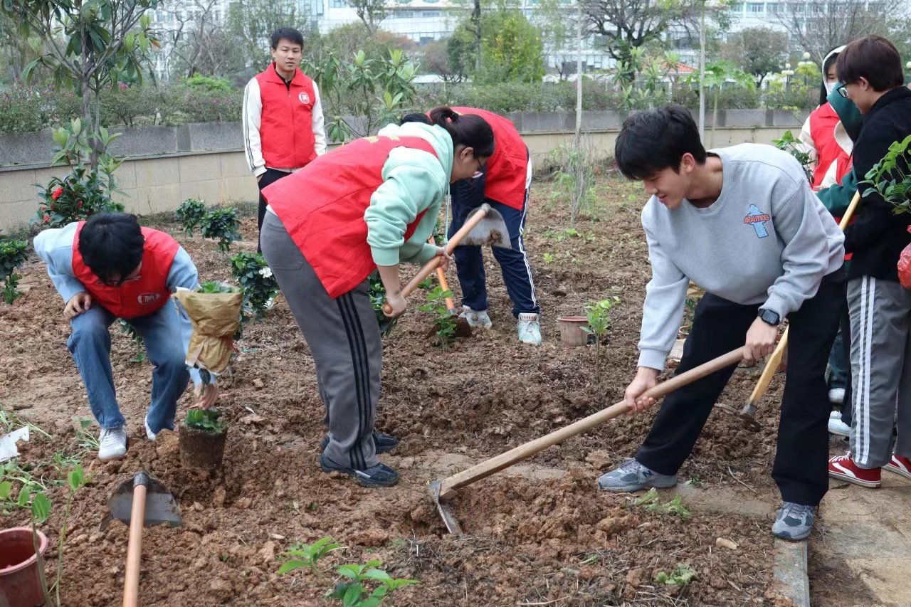 课程教学