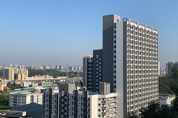 教师骨干